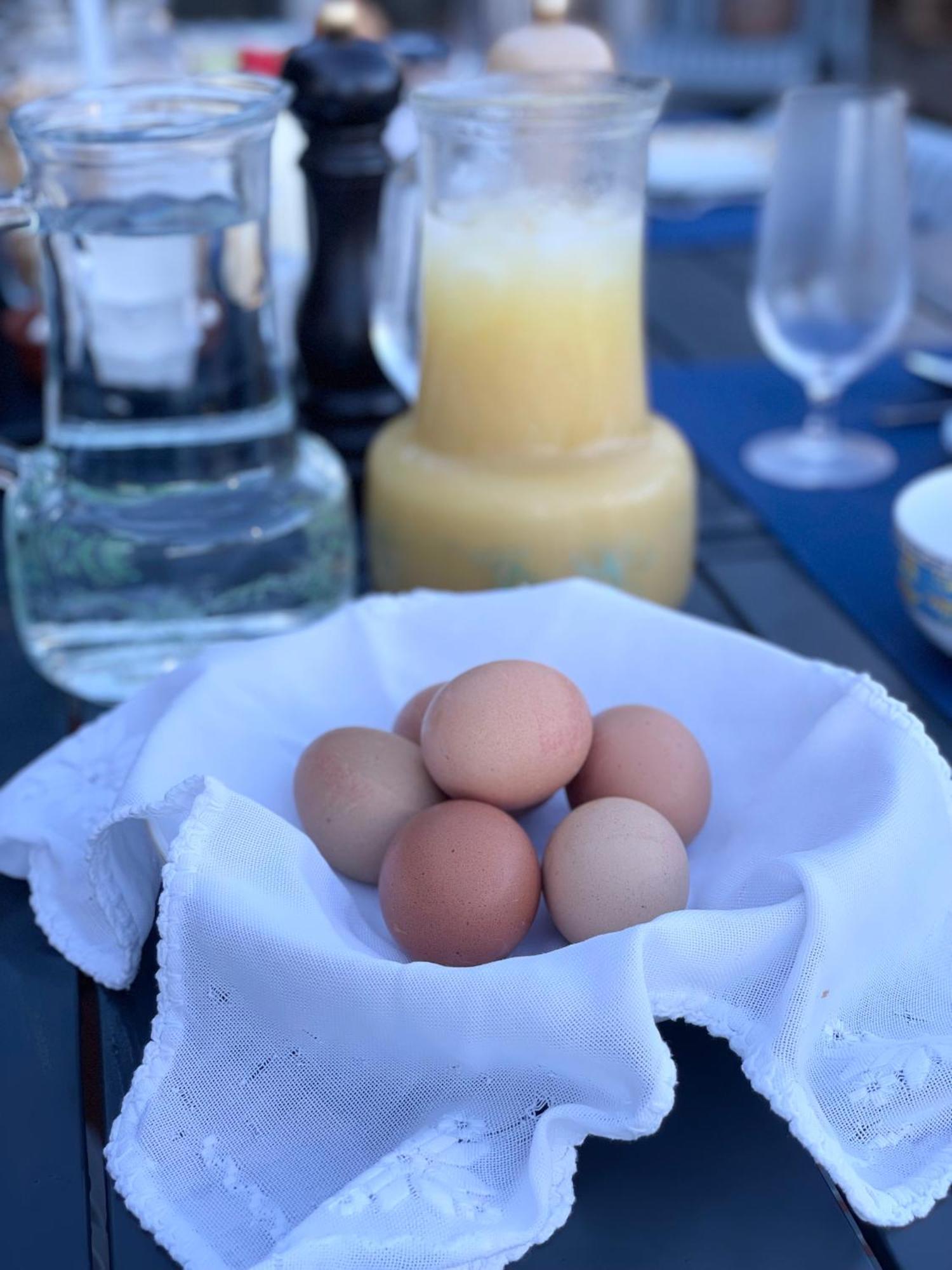 The Quixote House Bed & Breakfast Caminha Luaran gambar